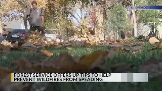 How to prepare for spring wildfires