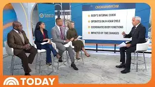 How to Regulate Your Body Clock for a Strong Immune System