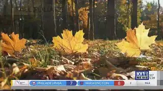 How we get those autumn colors