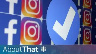 How will the paid social media verification process affect you? | About That