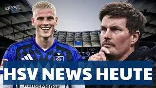 HSV NEWS! Transfer finalized at HSV! Polzin plans to immediately shock Bayern Munich with the new...