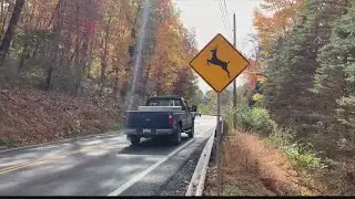 https://www.wtrf.com/news/drivers-beware-of-deer-crossing-roads/