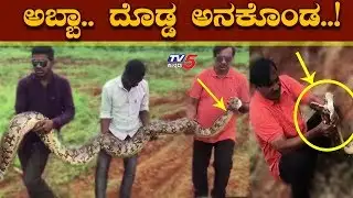 Huge Python in Chamarajanagar | 12ft and 70kg Snake | TV5 Kannada