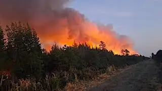 Huge wildfire burning in N.E. North Carolina now partially under control
