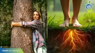 Hugging Trees Barefoot: A Simple Act With Potential Benefits | ISH News
