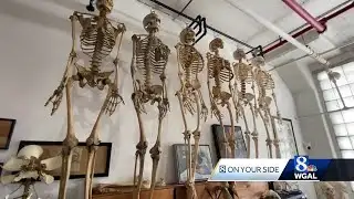 Human bone seller talks about why he started business