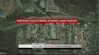 Human bones discovered