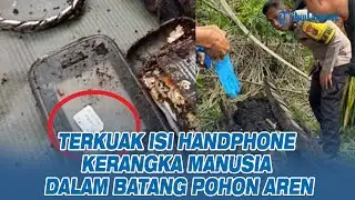 Human Skeleton Found in Palm Tree Trunk Revealed