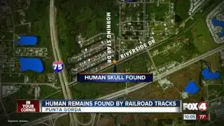 Human skull found by railroad tracks