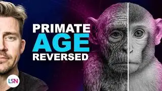 HUMAN Stem Cells Have Reversed Age In Monkey