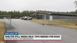 Humane Society in quarantine after distemper outbreak