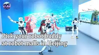 Humanoid robots see expanding applications in China