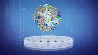 Humans are pooping out plastic, study finds