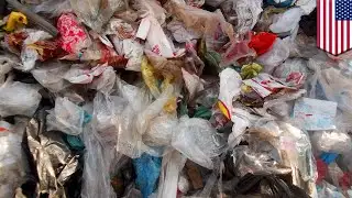 Humans may now be pooping plastic, study finds - TomoNews