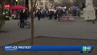 Hundreds gather at Cesar Chavez Plaza for anti-ice protest