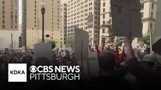 Hundreds gather in Downtown Pittsburgh for "No Kings" protests