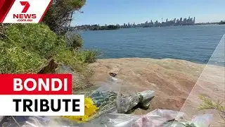 Hundreds honour boy killed in Sydney shark attack | 7NEWS