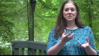 Hundreds of dead fish turn up in lake