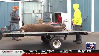 Hunters see mixed activity as gun deer season continues