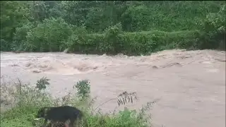Hurricane Melissa causes major flooding, devastation in Jamaica | Latest update