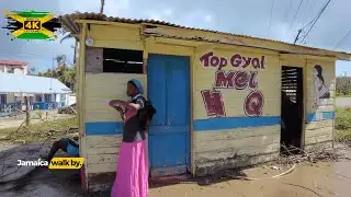 ✓⚠️ Hurricane Melissa Left Maggotty Like THIS… 2 Months Later 🇯🇲