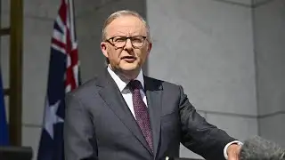 ‘Hypocrite’: Pauline Hanson slams Anthony Albanese over One Nation polling