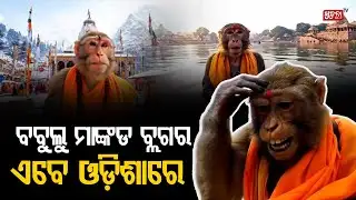 ସାରା ଭାରତ ବୁଲି ବୁଲି ଏବେ ଆସି ପହଁଚିଛି କଟକରେ I Bablu Bandar I AI Blogger