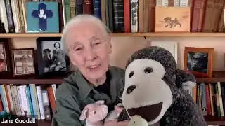 I Saw A Bird: Audubon