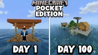 I Survive Mini Island 100 Days Pocket Edition in (HINDI)