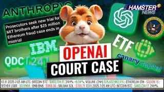 IBM reveals quantum processor, Anthropic builds $50B AI infrastructure in the US ⚡️ Hamster News