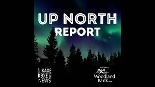 ICE arrests 4 in downtown Brainerd; Judge hears arguments to consider pause on Operation Metro Surge