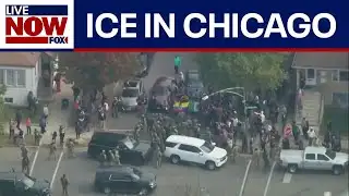 ICE clears out neighborhood in Chicago