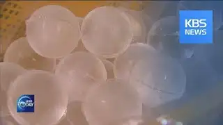 ICE CUBE VARIETIES ADD FUN TO SUMMER DRINKS / KBS뉴스(News)