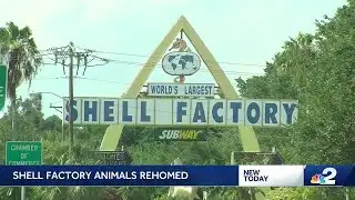 Iconic Shell Factory & Nature Park offers nostalgic items in virtual auctions