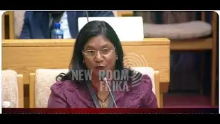 IDAC HEAD TESTIFIES IN PARLIAMENT