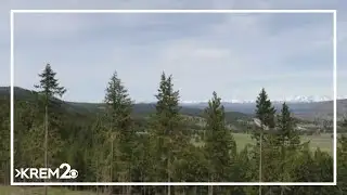 Idaho, USFS aim to double timber sales