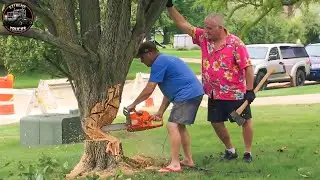 Idiots With Chainsaws: Extreme Tree Cutting Fails & Dangerous Logging Truck Accidents#3