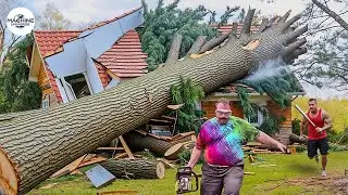 Idiots With Chainsaws: Tree Cutting Fails | Extreme Dangerous Logging Truck Fails #1