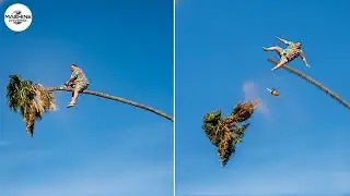 Idiots With Chainsaws: Tree Cutting Fails | Extreme Dangerous Logging Truck Fails #10