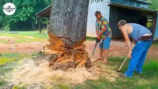 Idiots With Chainsaws: Tree Cutting Fails | Extreme Dangerous Logging Truck Fails #26