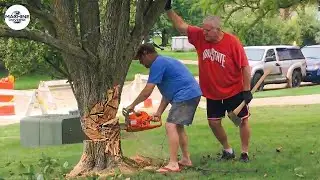 Idiots With Chainsaws: Tree Cutting Fails | Extreme Dangerous Logging Truck Fails #28
