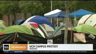 IE: UC Riverside Protests