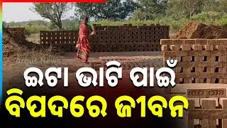 ଇଟା ଭାଟି ବଢାଉଛି ପ୍ରଦୂଷଣ ଚିନ୍ତା | Illegal Brick Kilns