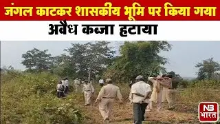Illegal encroachment on government land removed by cutting down forests