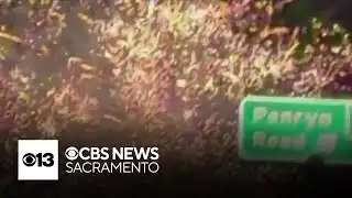 Illegal fireworks set off near Interstate 80 and Penryn Road