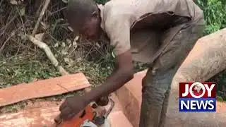 illegal sawmill operation in Sefwi area.  (21-09-18)