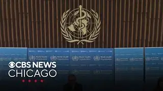 Illinois joins World Health Organization outbreak alert network