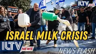 ILTV Evening News Flash – February 4, 2026