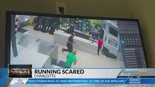 Immigrant community anxious after Border Patrol laundromat chase