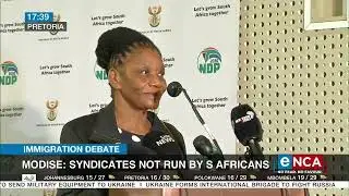 Immigration Debate | Modise: Syndicates not run by South Africans